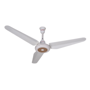 Panaflex Rose Offwhite