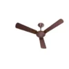 Heritage fan in Pakistan