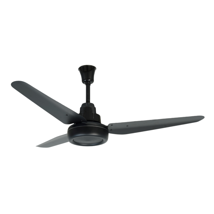 Panaflex Classic Full Black
