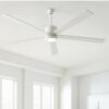 White Fan in Pakistan