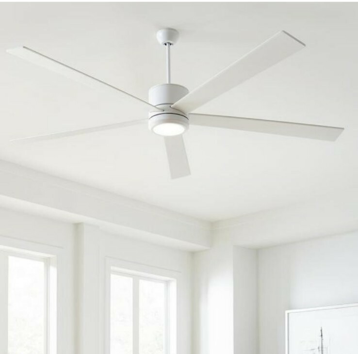 White Fan in Pakistan