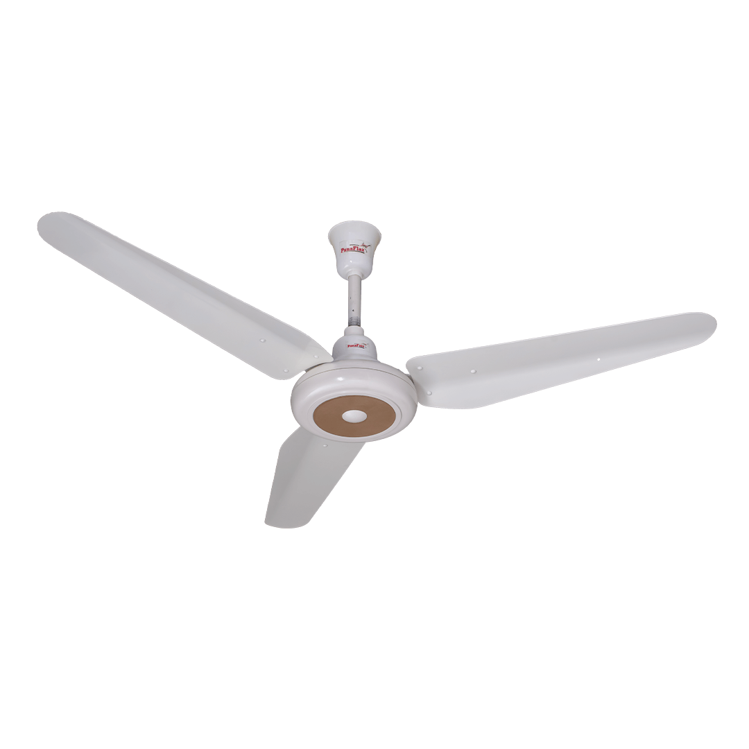 Panaflex Rose Offwhite