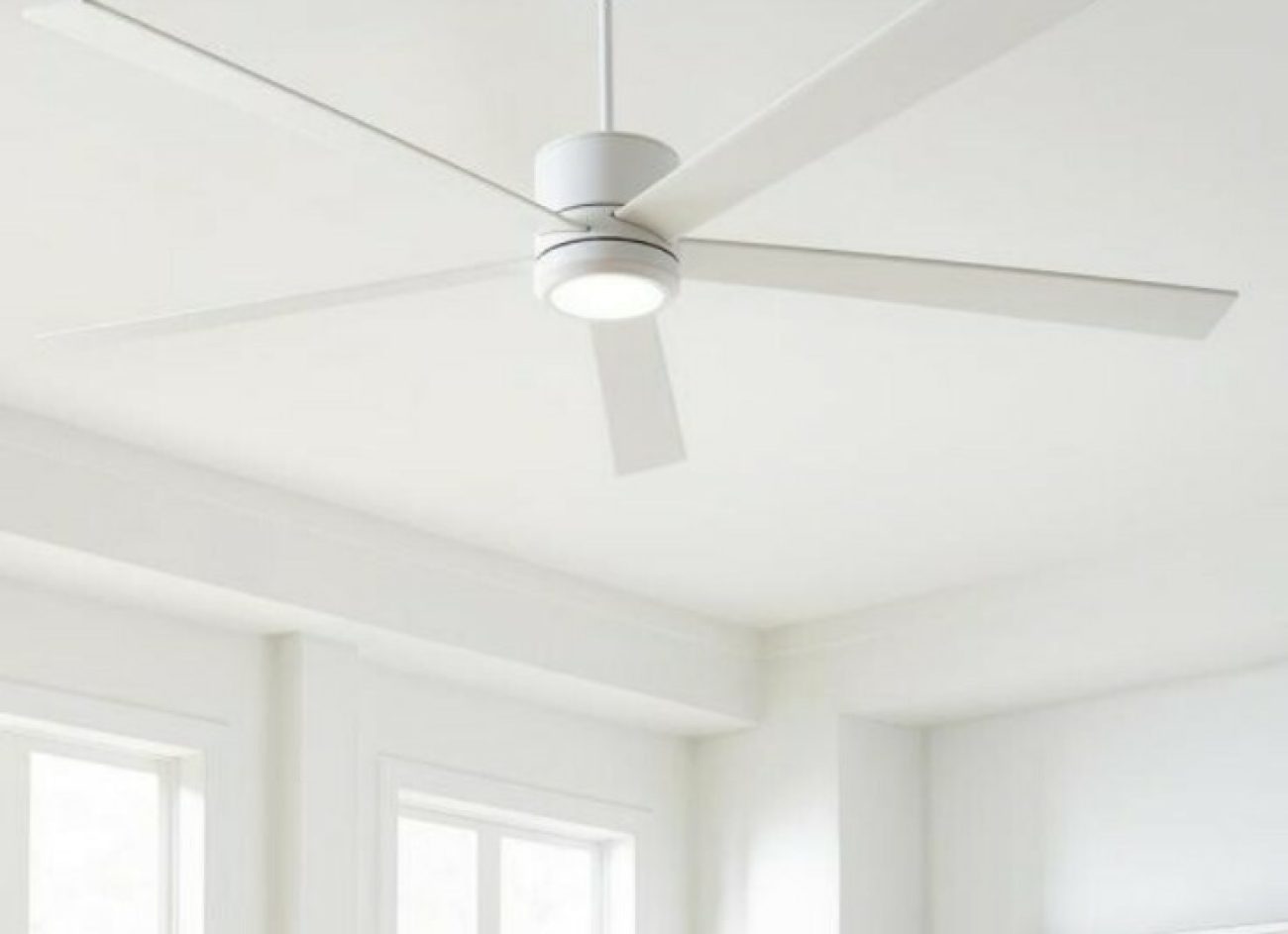White Fan in Pakistan